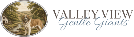 Valley View